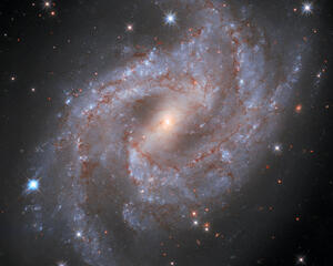 Galaxy NGC 2276